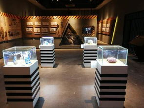 展會(huì)展廳裝修設(shè)計(jì)展示設(shè)備制作工廠加工